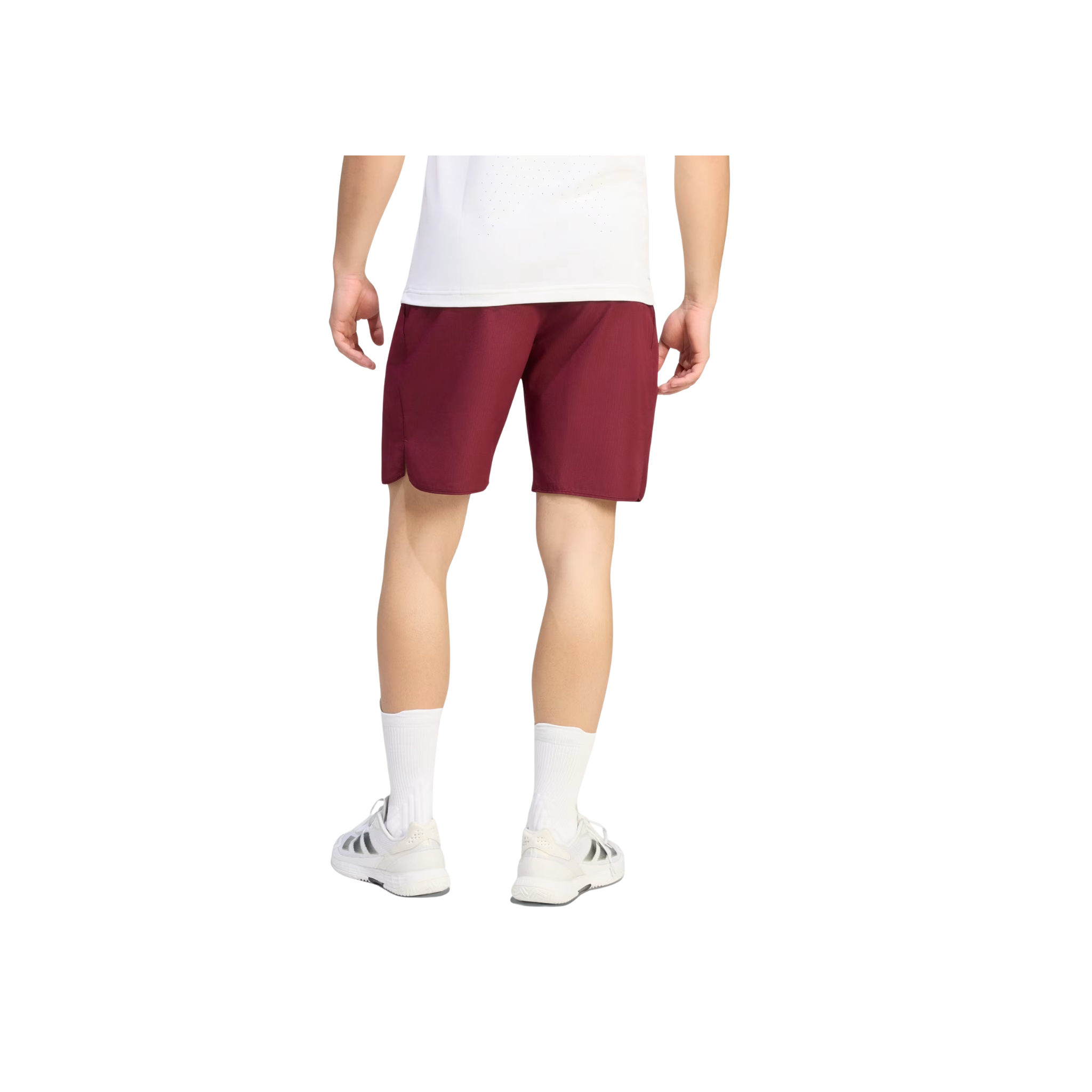 adidas club short | KS8299