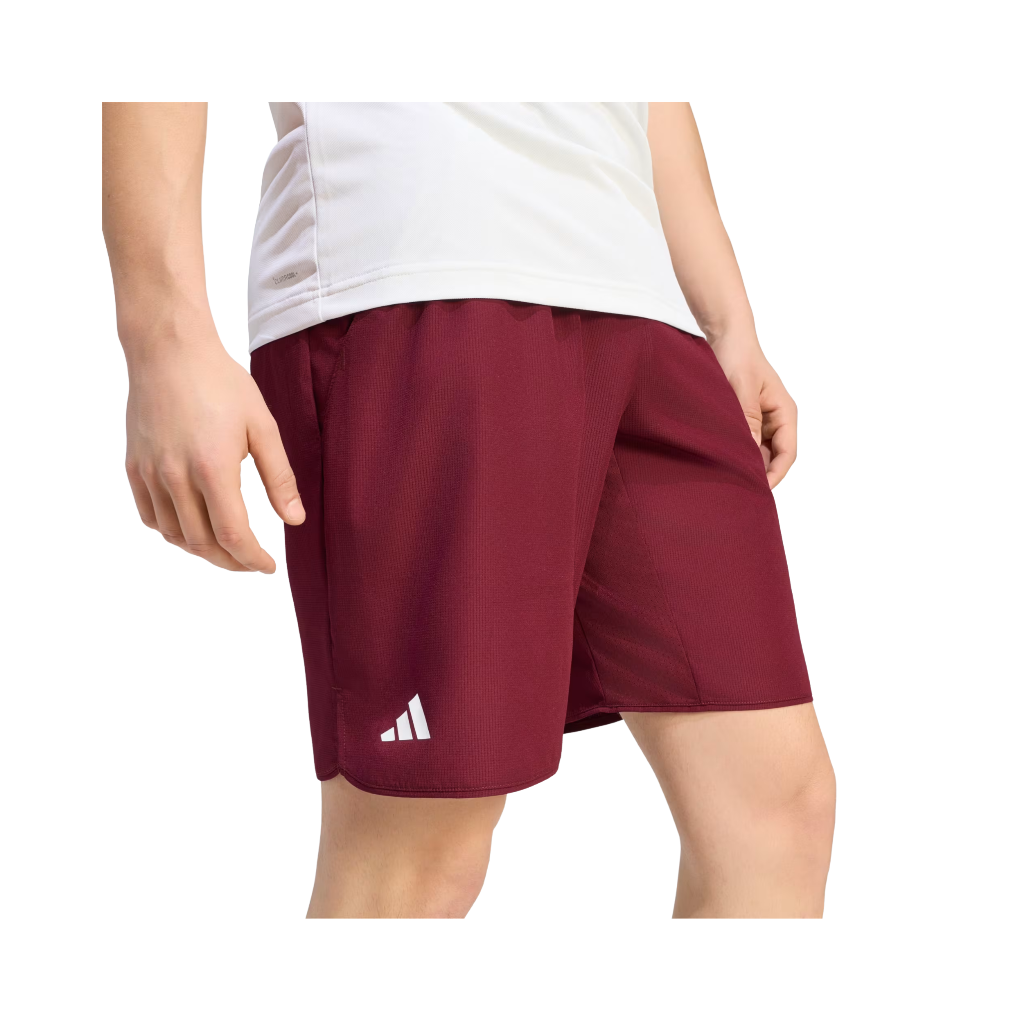 adidas club short | KS8299
