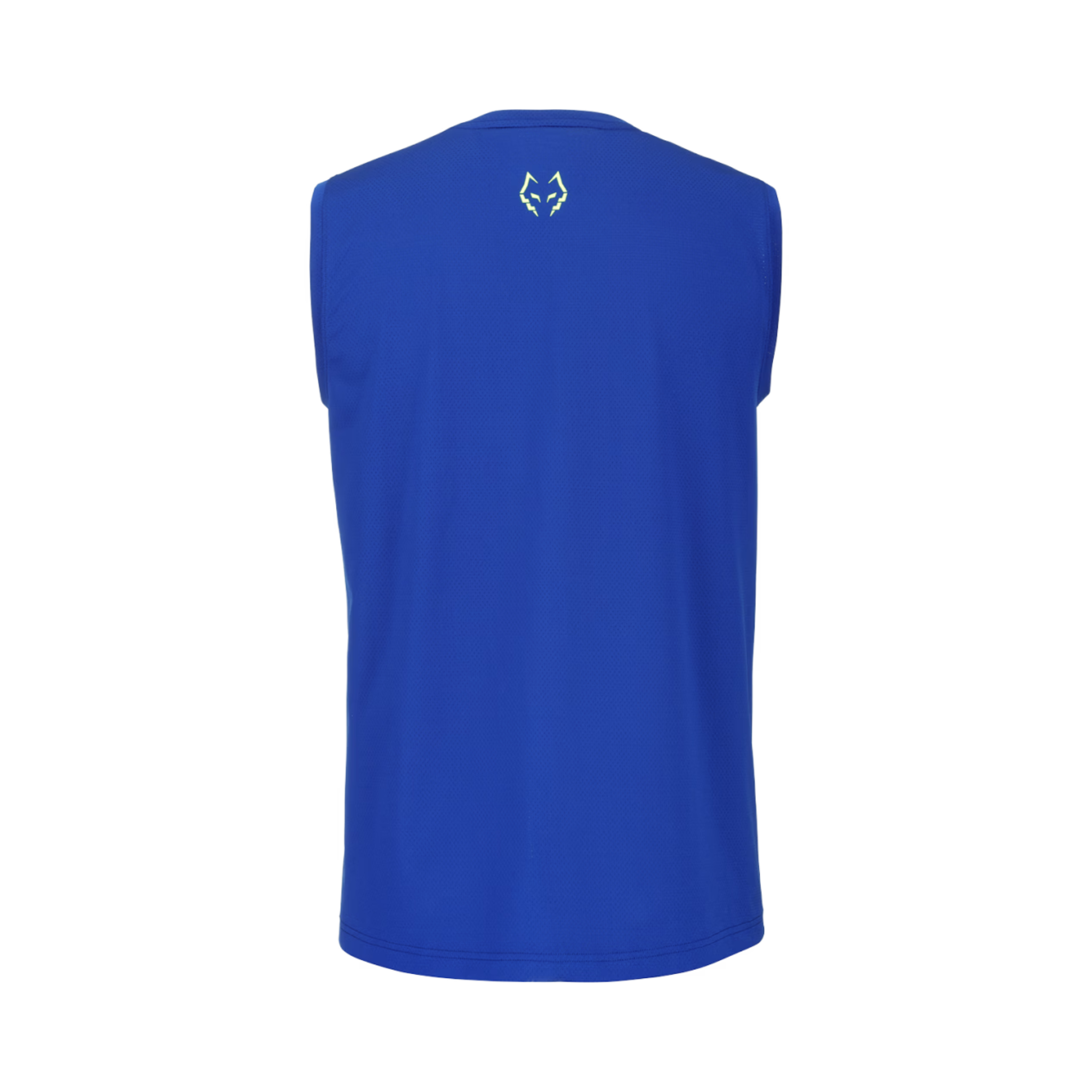 Babolat Muscle Tank Lebron Blue | Men