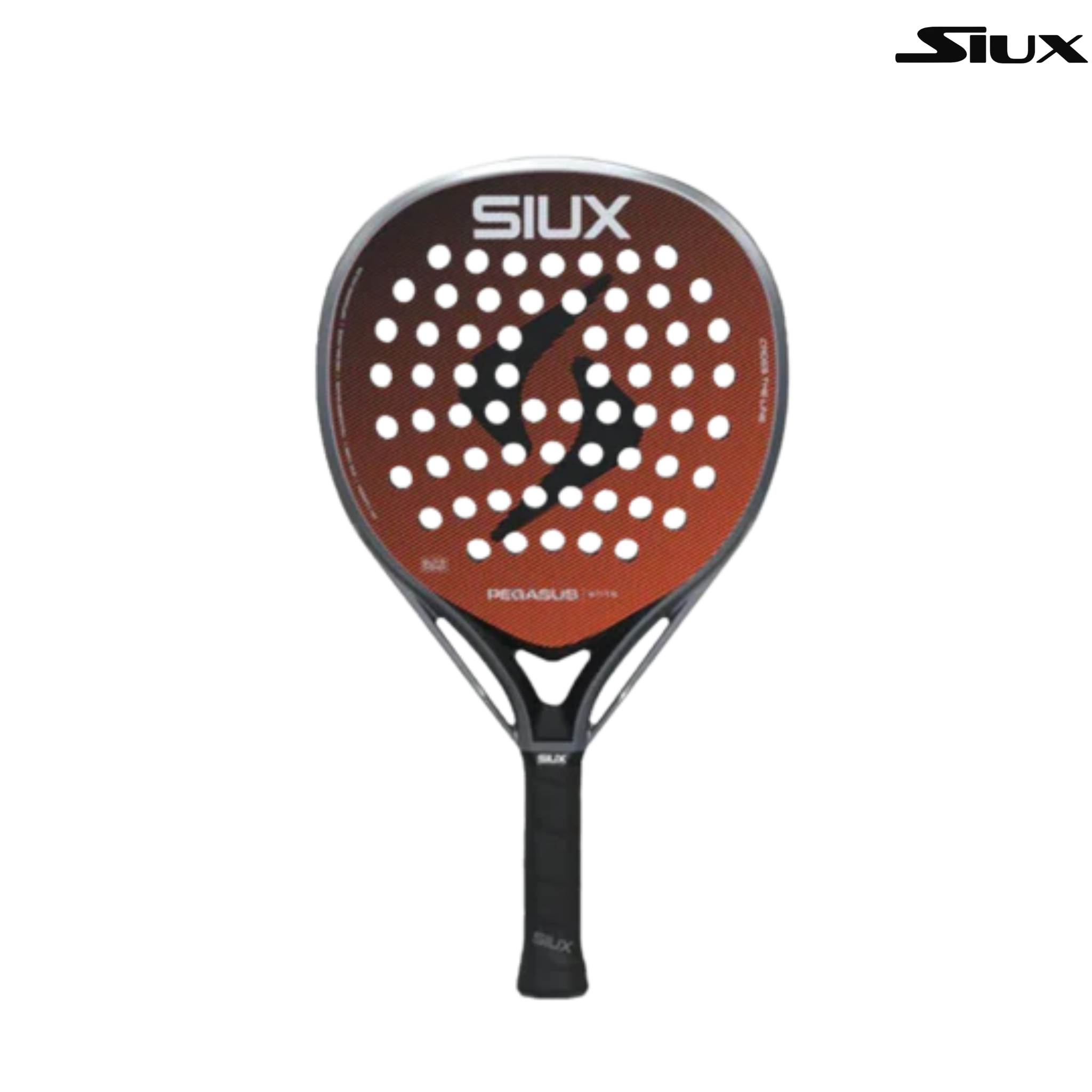 Siux Pegasus Elite 4 2026